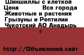 Шиншиллы с клеткой › Цена ­ 8 000 - Все города Животные и растения » Грызуны и Рептилии   . Чукотский АО,Анадырь г.